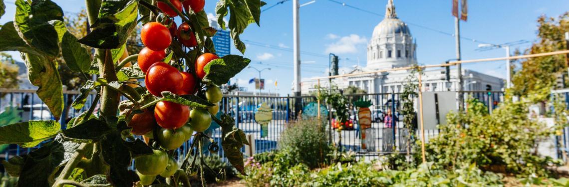 Health | Tenderloin Neighborhood Development Corporation
